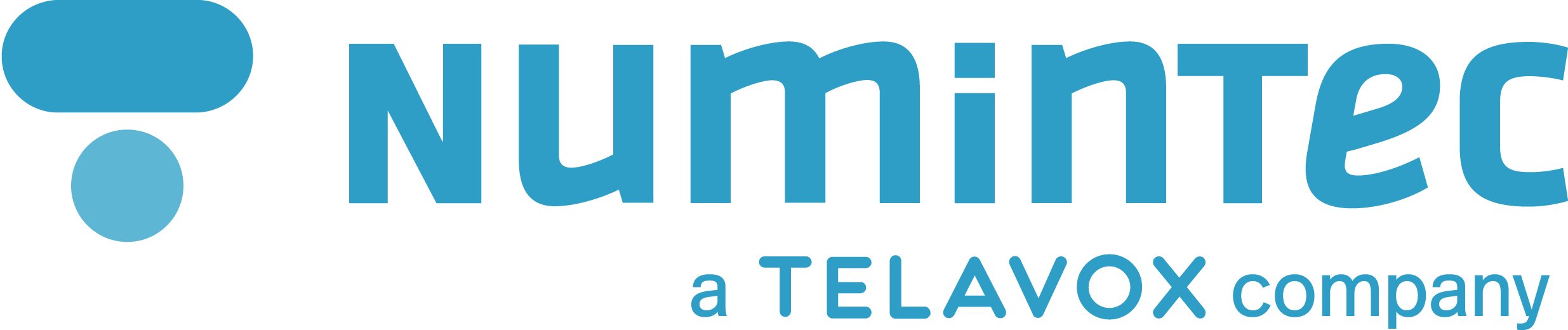 numintec